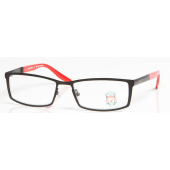 Liverpool FC Glasses (Adult) 